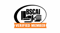 BSCAI logo